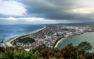 Tauranga Accounting